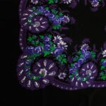 Portugués Morado  Lana